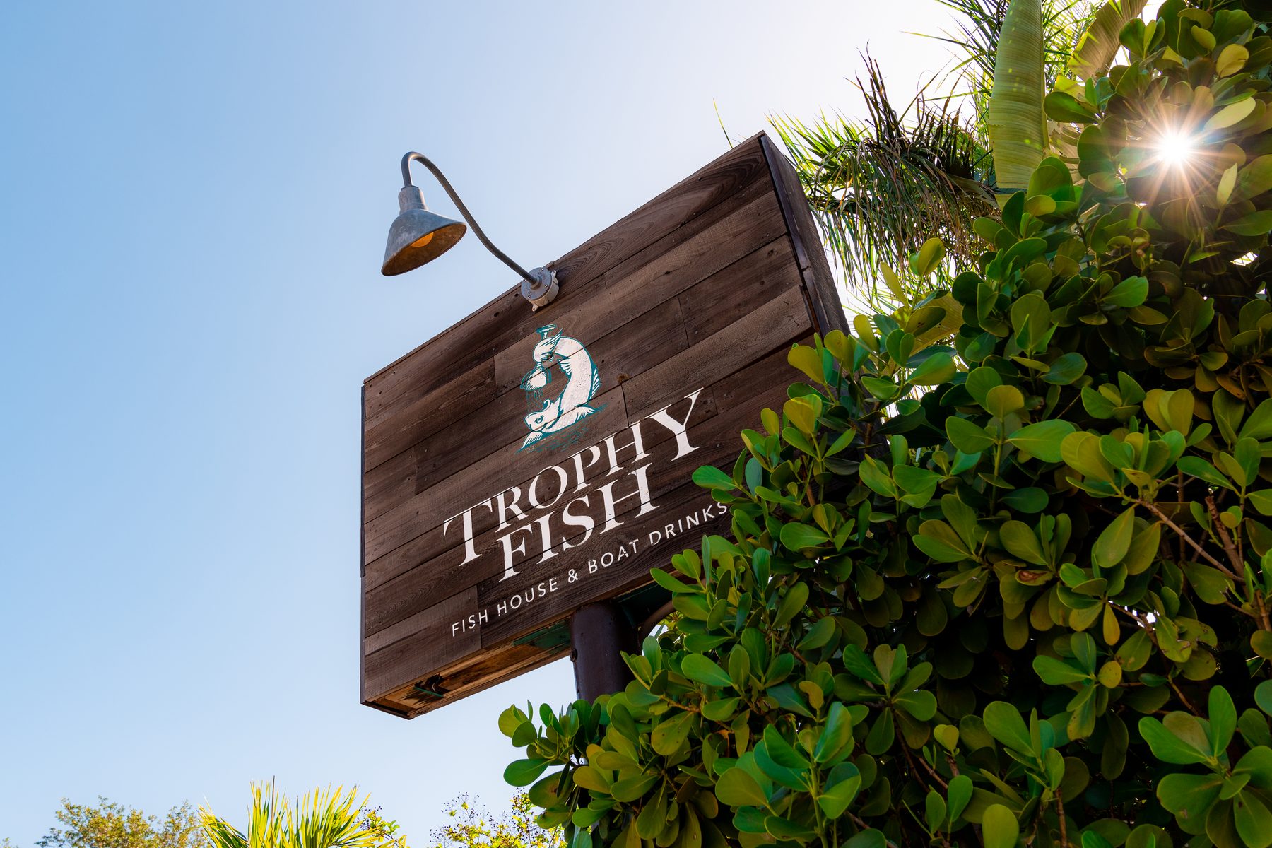 The wooden Trophy Fish sign against a blue Florida sky and green palms.